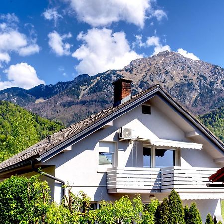 Apartma Storzic Preddvor Bagian luar foto